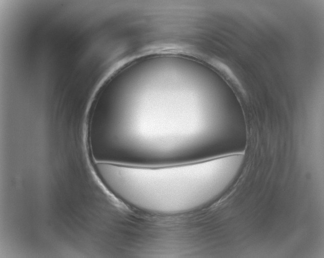 X0000074971424200609011005