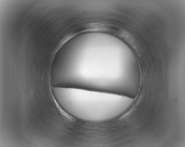 X0000074971425200609011005