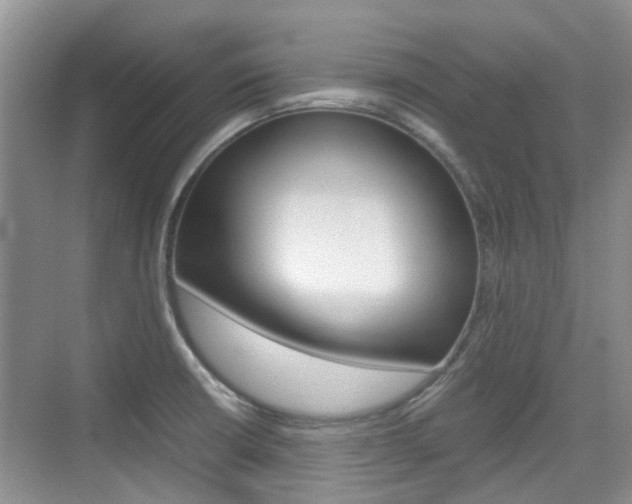 X0000074971426200609011005