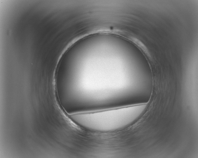 X0000074971428200609011005