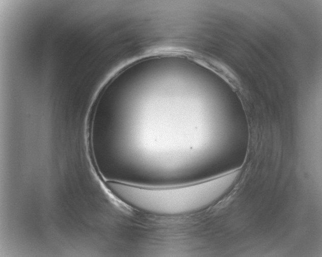 X0000074971430200609011005