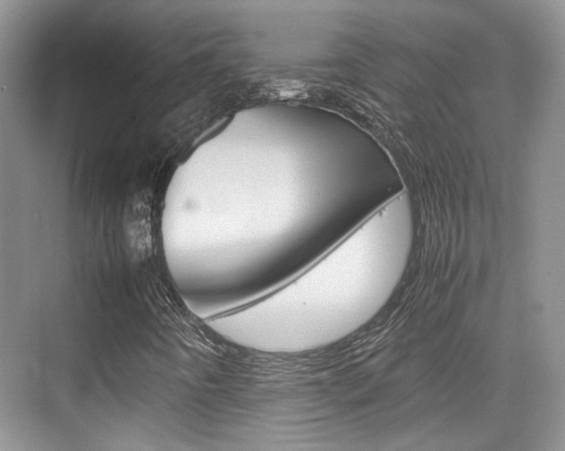 X0000074971442200609011004