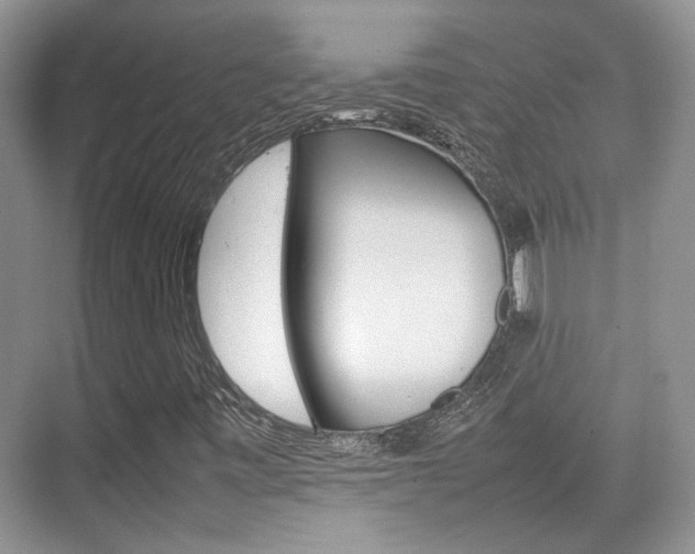 X0000074971443200609011004