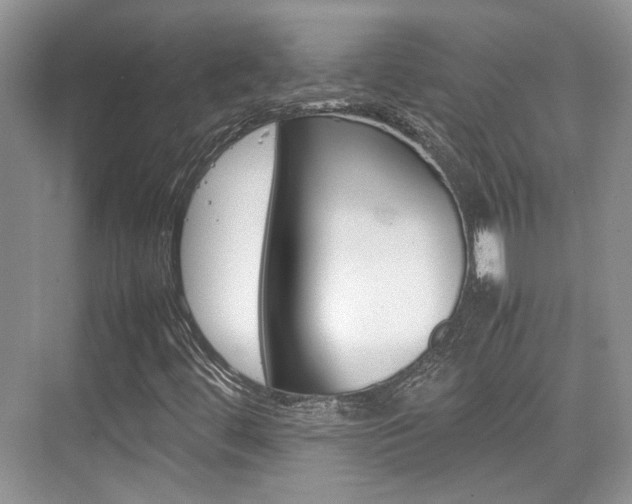 X0000074971444200609011004