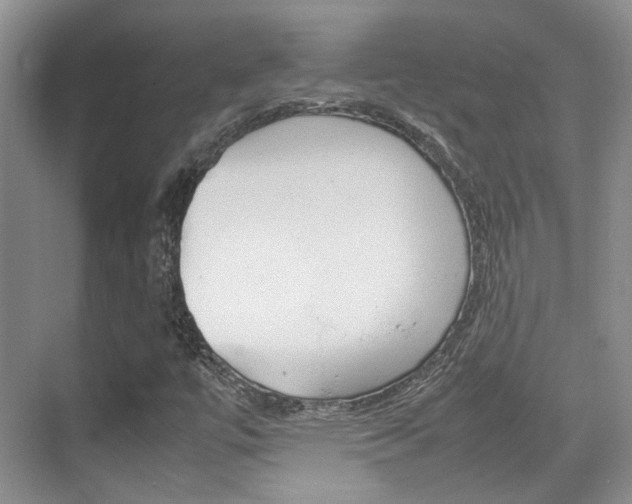X0000074971447200609011004