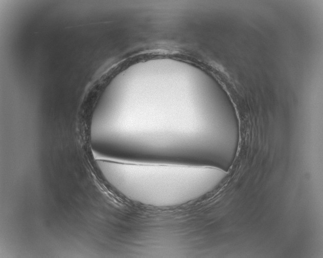 X0000074971448200609011004