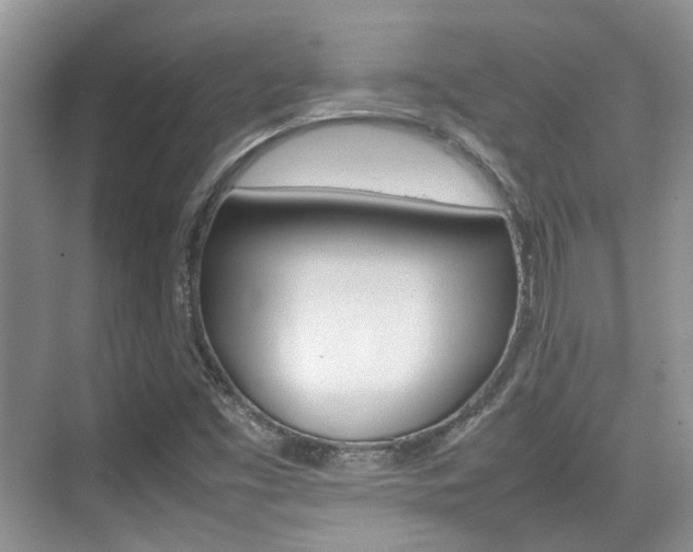 X0000074971453200609011004