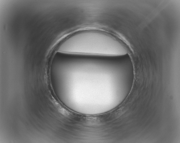 X0000074971456200609011004