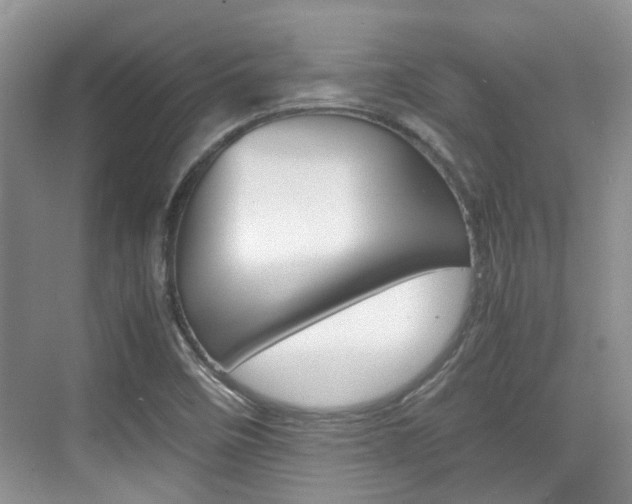 X0000074971458200609011004