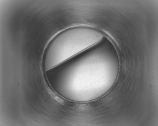 X0000074971460200609011004