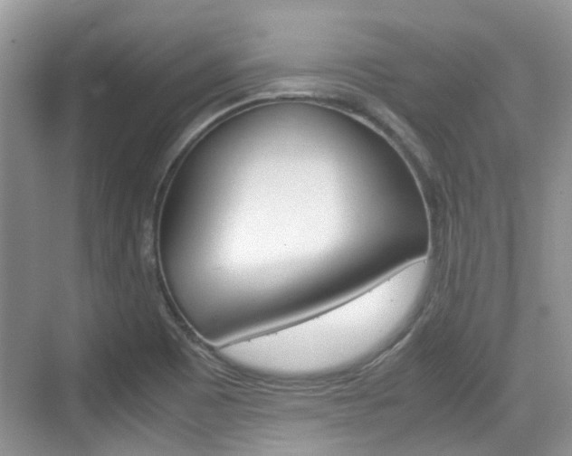 X0000074971465200609011004