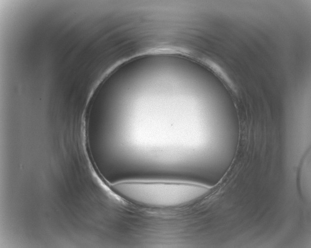 X0000074971476200609011004