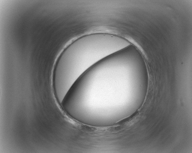 X0000074971477200609011003