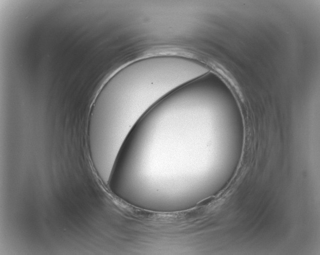 X0000074971481200609011003