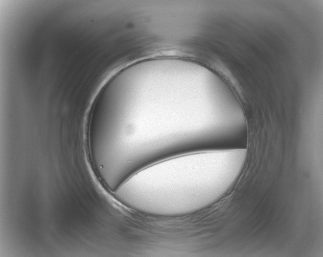 X0000074971483200609011003