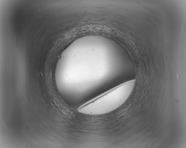 X0000074971489200609011002