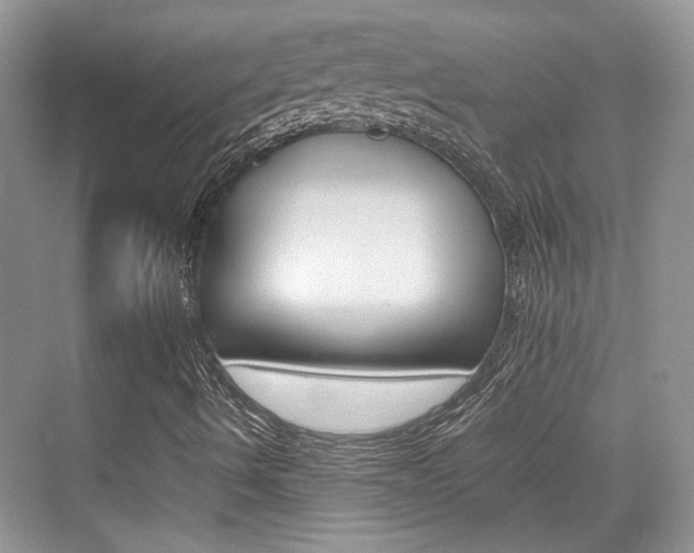 X0000074971490200609011003