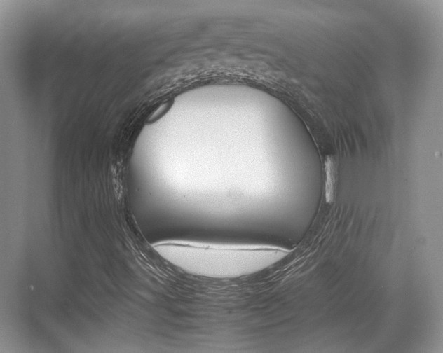 X0000074971491200609011003