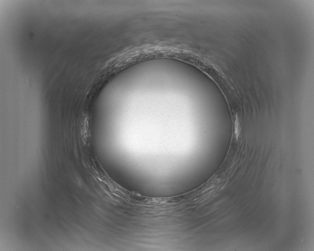 X0000074971492200609011003