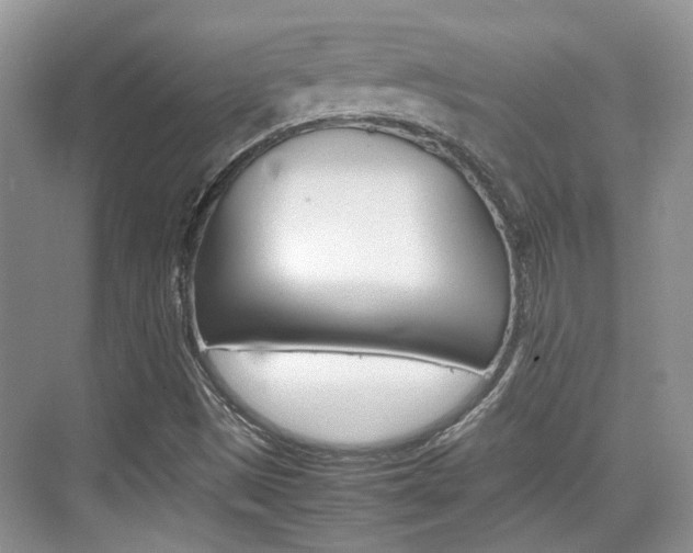 X0000074971497200609011003