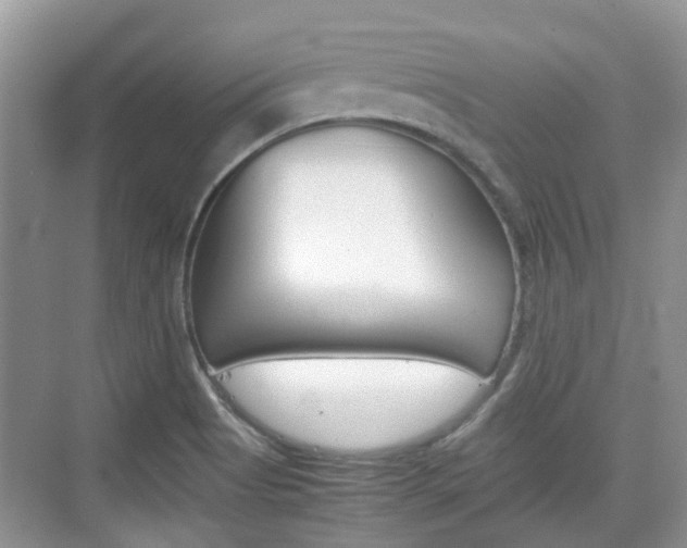 X0000074971513200609011003