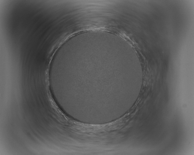 X0000074970002200609011228