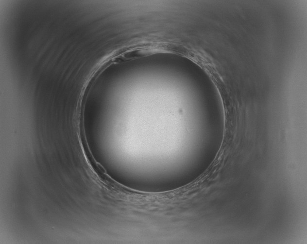 X0000074970003200609011228