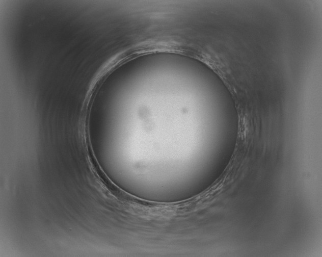 X0000074970004200609011228