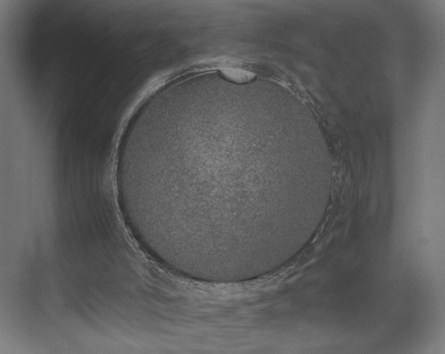 X0000074970006200609011228