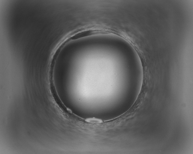 X0000074970007200609011228