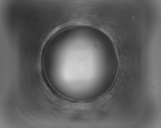 X0000074970008200609011228