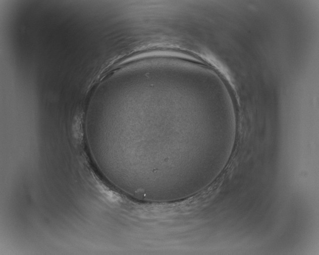 X0000074970009200609011228