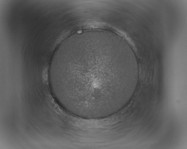 X0000074970010200609011228