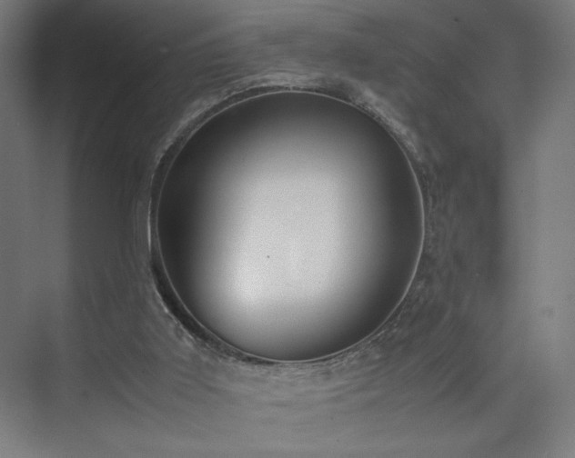 X0000074970011200609011228