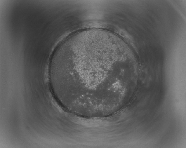 X0000074970012200609011228