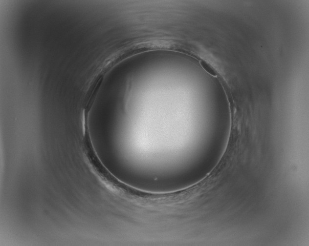 X0000074970013200609011228