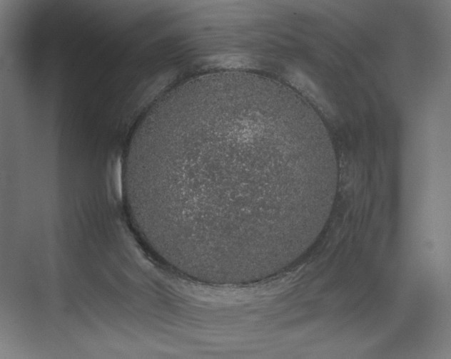 X0000074970014200609011228