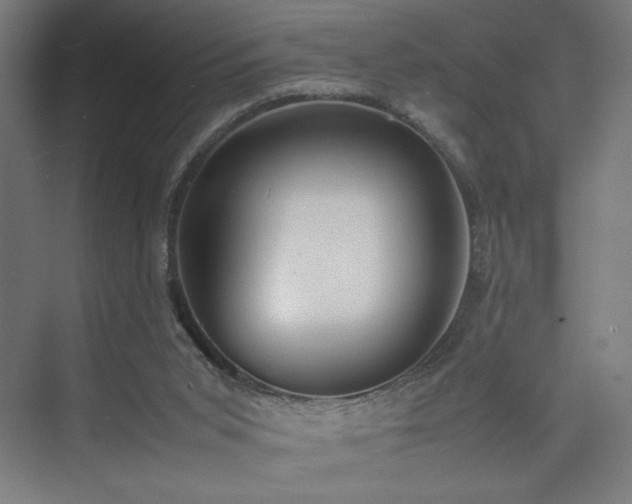 X0000074970015200609011228