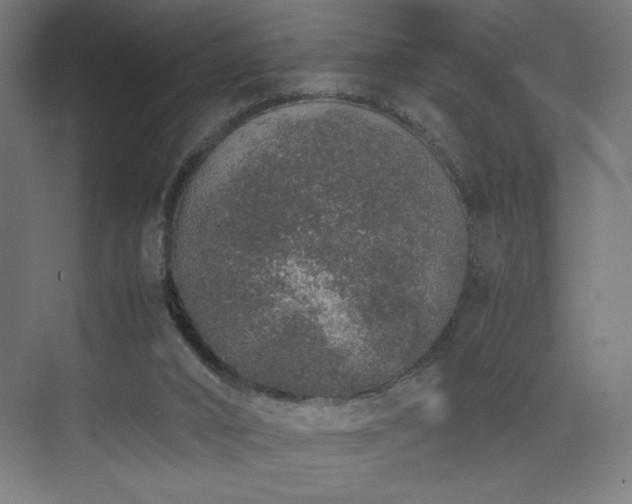 X0000074970016200609011228