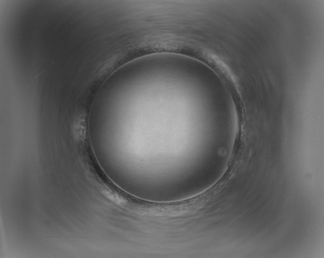 X0000074970017200609011227