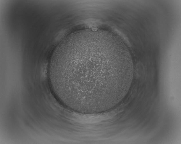 X0000074970018200609011227