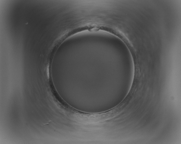 X0000074970019200609011227