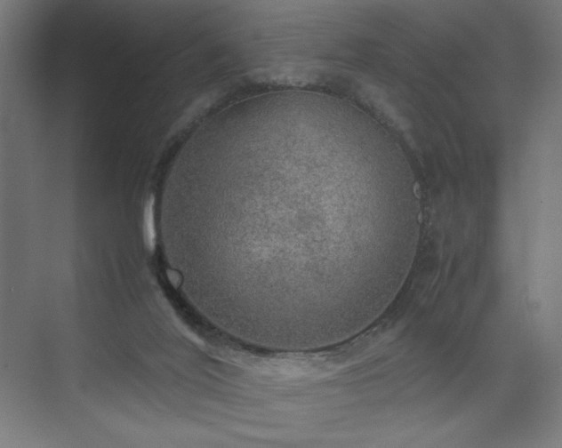 X0000074970020200609011227