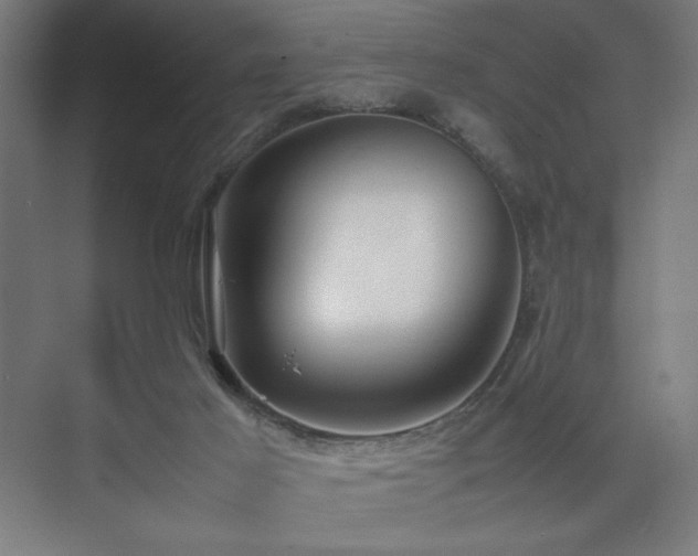 X0000074970021200609011227