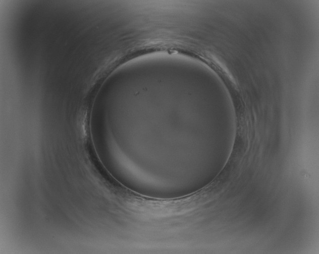 X0000074970023200609011227