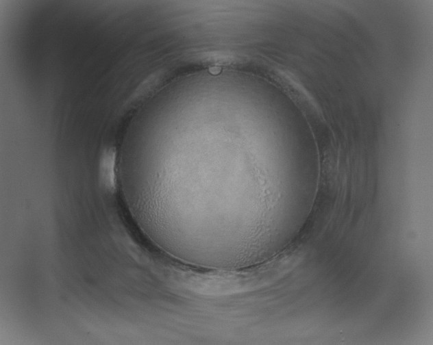 X0000074970024200609011227