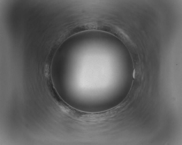 X0000074970025200609011227