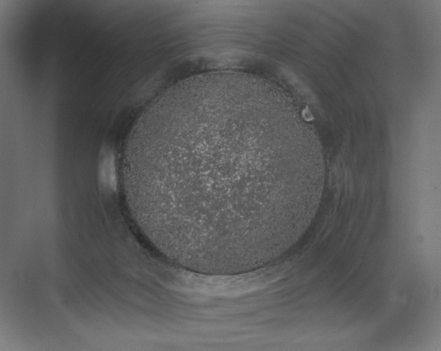 X0000074970026200609011227