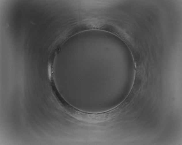 X0000074970027200609011227