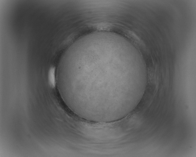 X0000074970028200609011227